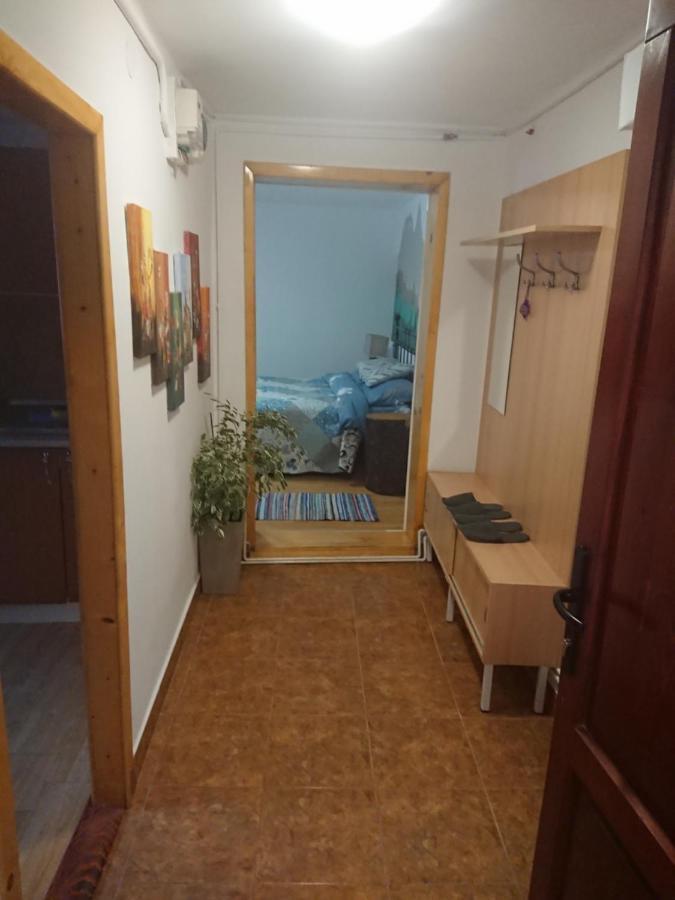 Appartement Katy'S Studio à Braşov Extérieur photo